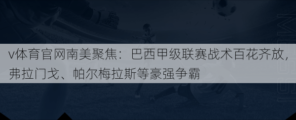 v体育官网南美聚焦:巴西甲级联赛战术百花齐放,弗拉门戈、帕尔梅拉斯等豪强争霸