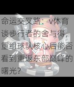 命运交叉路：v体育谈步行者的舍与得，重组球队核心后能否看到重返东部巅峰的曙光？